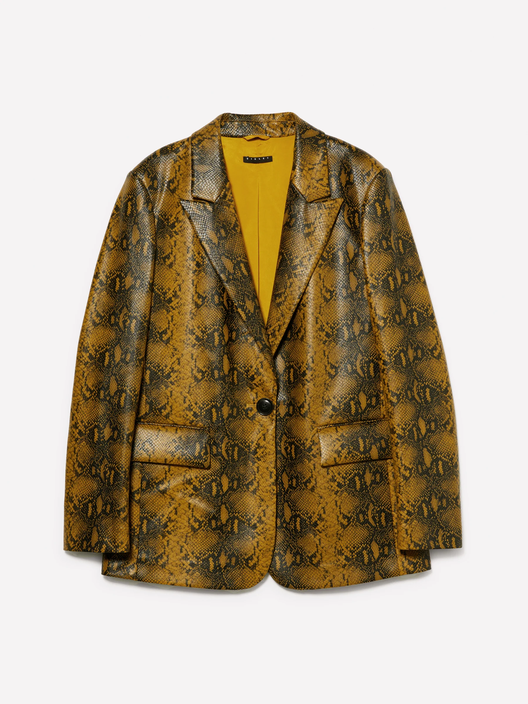 Blazer pitonato