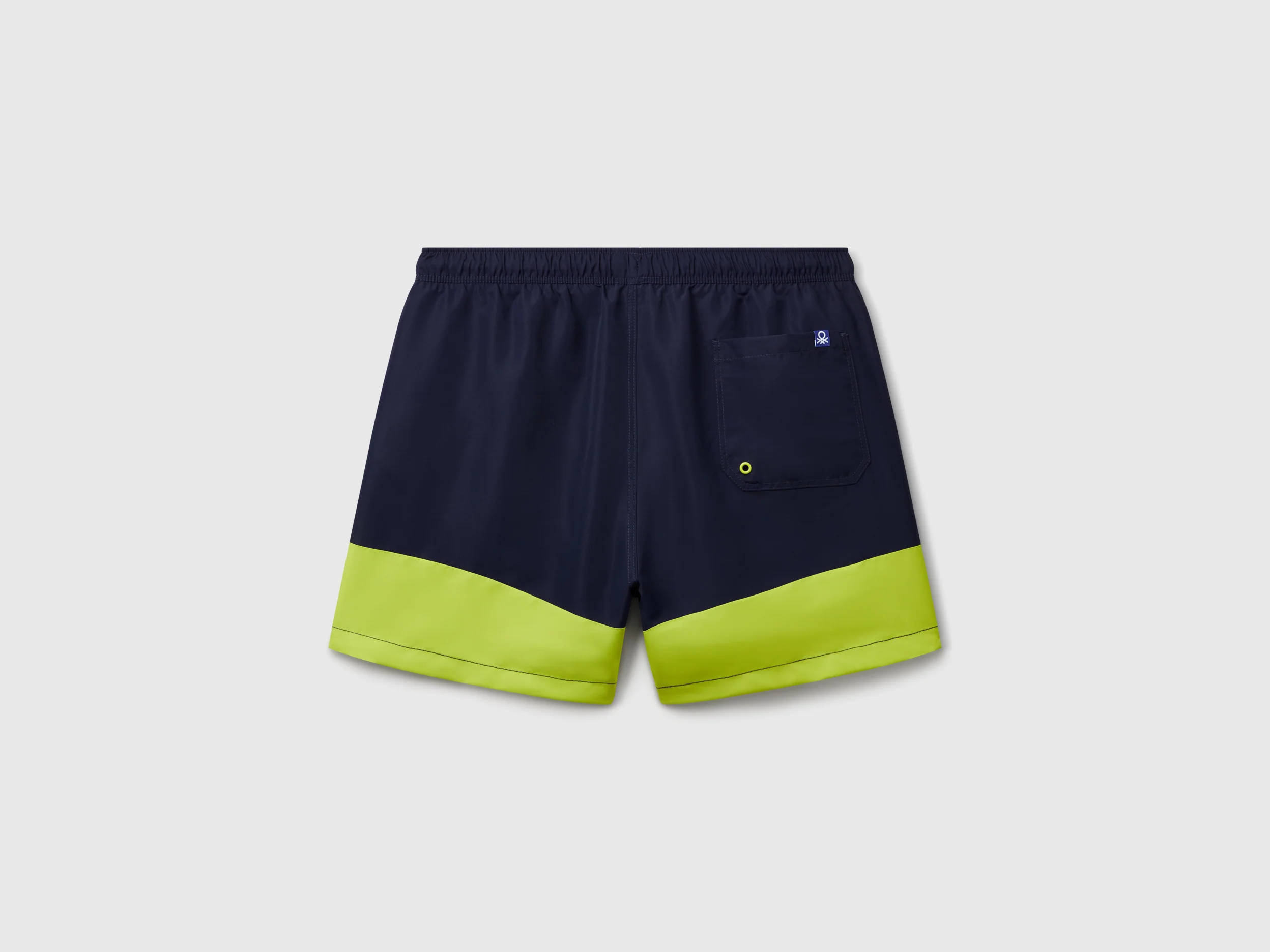 Boxer mare color block - Image 2