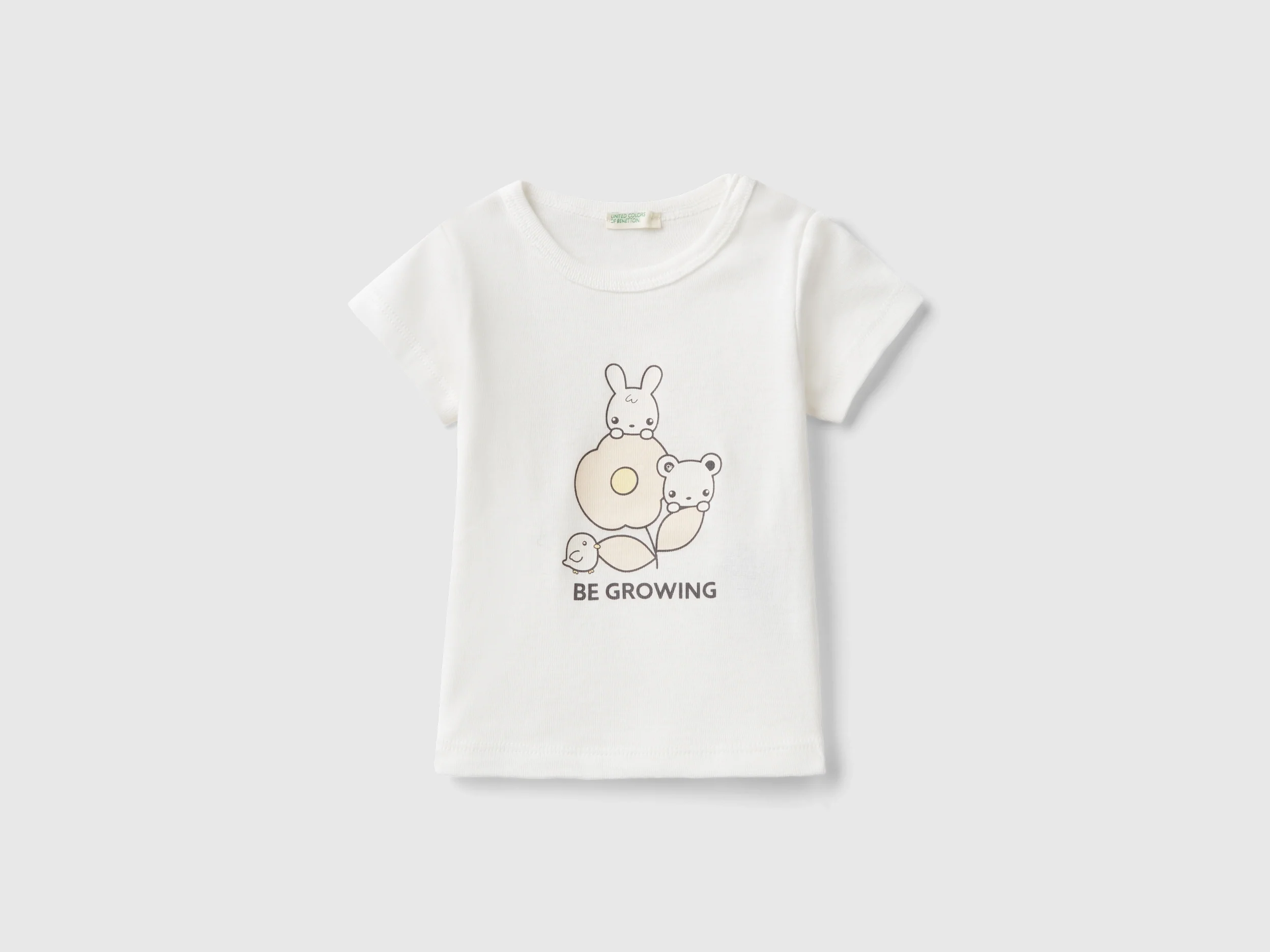 Maglietta 100% cotone biologico